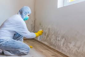 Best Water Damage & Mold Remediation  in Ithaca, NY