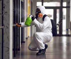 Best Commercial Mold Inspection  in Ithaca, NY